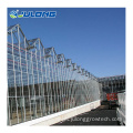 Venlo glass greenhouse for agriculture price custom size